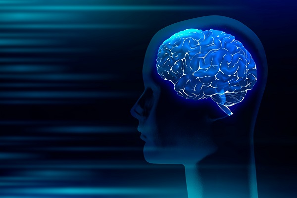 1 human brain medical digital illustration
